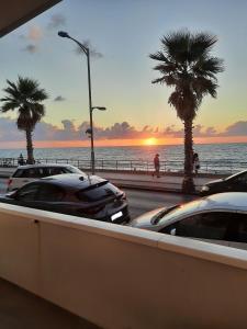 a group of cars parked on a street with palm trees at Sul Mare Apartment in Capo dʼOrlando