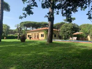 a house with a tree in the yard at Villa Pratoverde con piscina in Cinquale