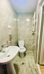 a bathroom with a toilet and a sink at Park flat in Borjomi +13 photos