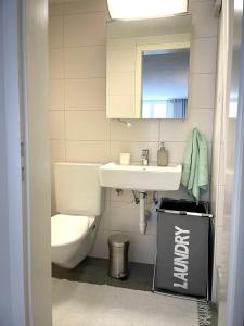 a bathroom with a toilet and a sink and a mirror at Charmante Wohnung im alten Dorfkern in Winterthur