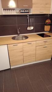 a kitchen with a sink and wooden cabinets at Apartman ISPOD DUGE LANA in Zlatibor +9 photos