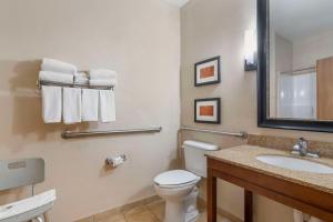 Koupelna v ubytování Comfort Suites McKinney-Allen