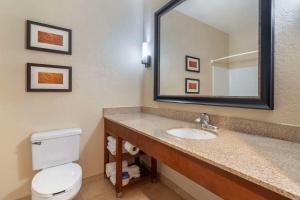 Koupelna v ubytování Comfort Suites McKinney-Allen