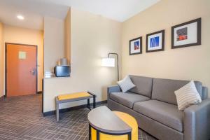 Posezení v ubytování Comfort Suites McKinney-Allen