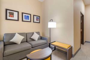 Posezení v ubytování Comfort Suites McKinney-Allen