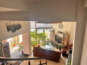 uma sala de estar com um sofá e algumas plantas em Live Tulcea Hotel em Tulcea