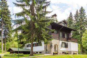 a house with a tree in front of it at Villa Kalia in Borovets