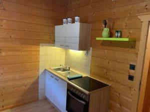 a kitchen with wooden walls and a sink and a stove at Untere Firstalm in Schliersee