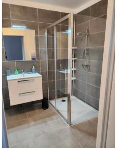 a bathroom with a shower and a sink at Grand Studio in Ajaccio
