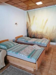 Ένα ή περισσότερα κρεβάτια σε δωμάτιο στο Schöne Wohnung im Herzen von Burgstädt