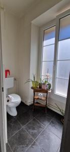 a bathroom with a toilet and a table with plants at Vaste chambre au centre ville, à 2 minutes du Lac in Neuchâtel