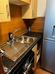 Η κουζίνα ή μικρή κουζίνα στο One Bedroom Apartment in Gorgie with new central heating system +5 φωτογραφίες