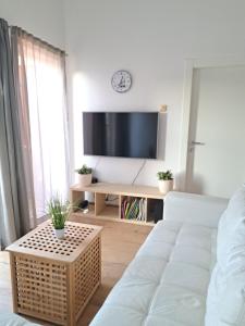 a living room with a white couch and a tv at Apartment Oliva Volme in Banjole