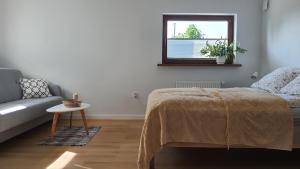 トルンにあるKawalerka 40 m 2 osoby ulica Porzeczkowa Torunのベッドとソファと窓のある寝室