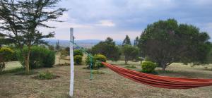 a hammock hanging from a pole in a field at Camping Near Mt Longonot, Elwai Camping Centre in Heni Village