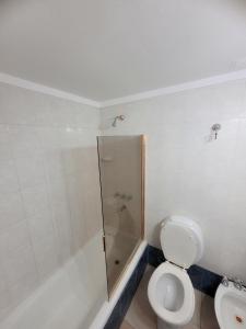 a bathroom with a shower and a toilet at Hotel Aiello in San Luis
