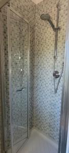 a shower with a glass door in a bathroom at Agriturismo Il Poggio in Casale Marittimo