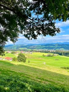 a field of green grass with a tree in the foreground at Ferienwohnung Wolkenfrei mit Pool und Sauna in Scheidegg +21 photos
