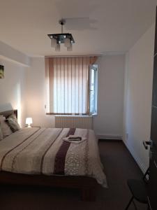 a bedroom with a large bed and a window at Promenade apartment in Târgu-Mureş