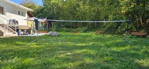 ein Hof mit einem Volleyballkorb im Gras in der Unterkunft Ascunzis in Bicaz
