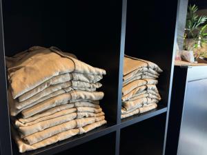 Fotografie z fotogalerie ubytování Henn na Hotel Tokyo Nishikasai v Tokiu