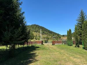 a yard with a fence and trees and a mountain at Mountain Cabin Retreat - Terrace, BBQ, Hot Tub in Lunca Bradului