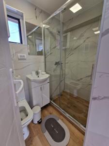 a bathroom with a shower and a toilet and a sink at Zed Apartments in Leskovac +15 photos