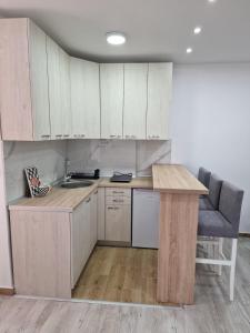 Kuchyň nebo kuchyňský kout v ubytování Zed apartmani Leskovac