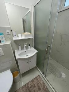 a bathroom with a shower and a sink and a toilet at Apartman Nikka in Bihać