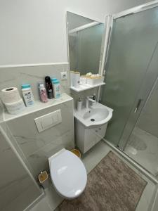 a bathroom with a toilet and a shower and a sink at Apartman Nikka in Bihać +22 photos
