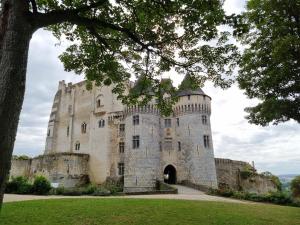 an old castle with a tree in front of it at Chambres à l'Orée du bois in Souancé-au-Perche +7 photos