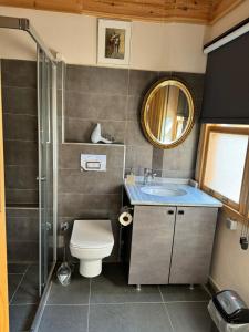 Un baño con inodoro, lavabo y espejo. en HanFlats, en Estambul 30 fotos más