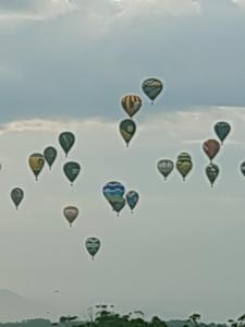 a bunch of hot air balloons in the shape of a heart at Hotel Ficare Torres in Torres +68 photos