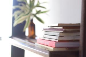 a stack of books sitting on a shelf with a plant at Marola Hostel in Ubatuba