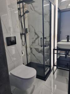 Koupelna v ubytování SkyHel Apartament 102