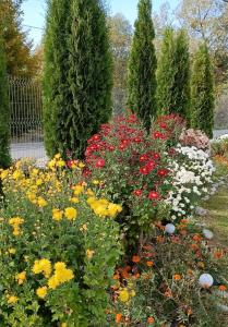 Fotografie z fotogalerie ubytování Vila Eivissa v destinaci Porumbacu de Sus