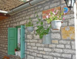 Fotografie z fotogalerie ubytování Guesthouse Iro v destinaci Papigko
