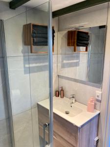 a bathroom with a sink and a shower at Landelijk gelegen huisje in Opperdoes