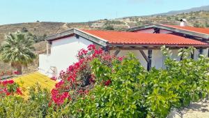 a house with a red roof and some flowers at Casa Azul, Arico Viejo La Sabinita - Baden, wandern, klettern, Individualurlaub jenseits des Massentourismus, in La Sabinita