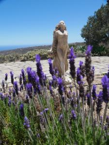 a statue of a woman in a field of purple flowers at Casa Azul, Arico Viejo La Sabinita - Baden, wandern, klettern, Individualurlaub jenseits des Massentourismus, in La Sabinita