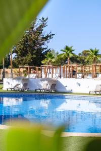 widok na basen z krzesłami i palmami w obiekcie Hotel Ankaa - Adults Only w Porto Cristo
