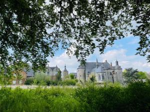 an old castle in a field of grass at La Ronce Home in Écaussinnes-dʼEnghien