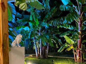 Zahrada ubytování Luxury LIONS VILLAS ZANZIBAR - with Private Cook&Infinity Pools + 127 fotografií