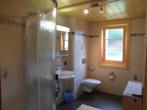 uma casa de banho com um chuveiro, um WC e um lavatório. em Les Promenades en Montagne em Château-d'Oex