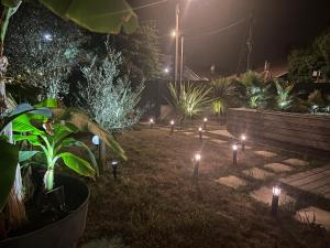 a garden with lights in the grass at night at Great Room 29 in Mérignac