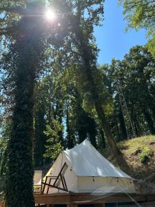 a white tent in the middle of a forest at Zeta River Glamping in Danilovgrad