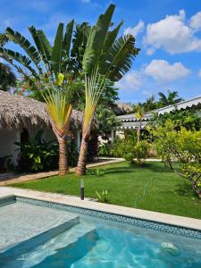 a swimming pool in front of a house with palm trees at Casa Shambala B&B in Las Terrenas