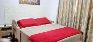 a bed with two red pillows in a bedroom at CASA ZONA CASINO, SUPERMERCADO. TODAS LAS COMODIDADES in Eldorado