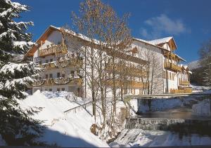 a large building in the snow with a tree at Ferienhotel Rothbacher Hof in Bodenmais