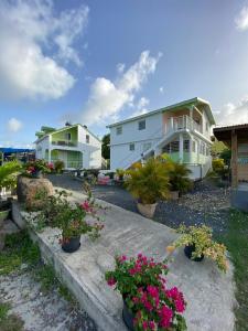 a row of houses with potted plants and flowers at Tropic Arth Paradise in Port-Louis